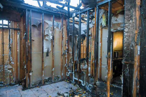 Professional Fire Damage Repair technician working in Columbus, MN